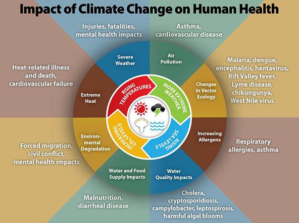 Impact of climate change on health