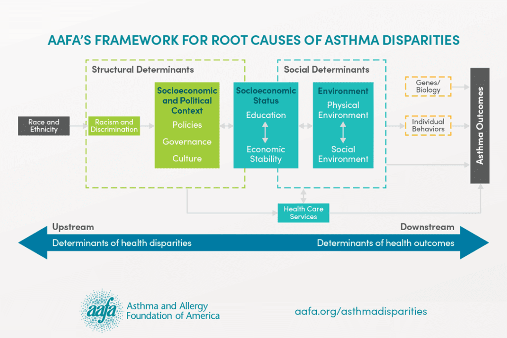 Information on root causes of asthma disparities