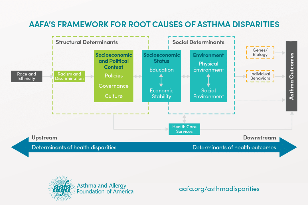 asthma-disparities-reducing-burden-on-racial-and-ethnic-minorities