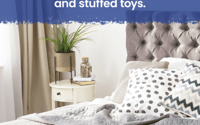 A photo of a bedroom with the text dus mites live in beds, carpets, curtains, fabric-covered furniture, and stuffed toys.