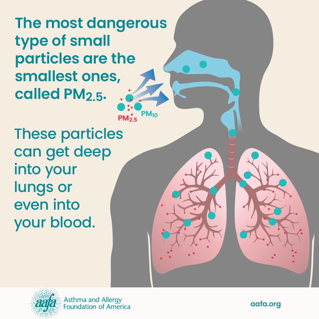 https://aafa.org/wp-content/uploads/2024/04/PM25-is-most-dangerous-06-SM.jpg?utm_source=chatgpt.com