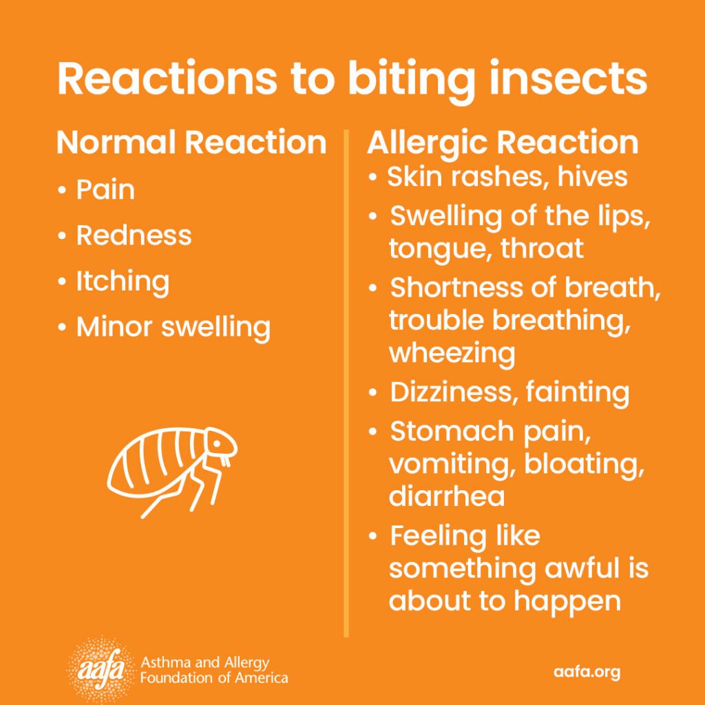Reactions to biting insects. Normal reaction vs allergic reaction