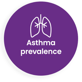 Asthma fact graphic with the copy nearly 26 million Americans have asthma. This equates to about 1 in 13 Americans.