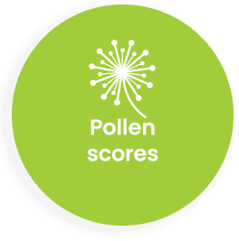 pollen scores