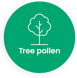Tree pollen