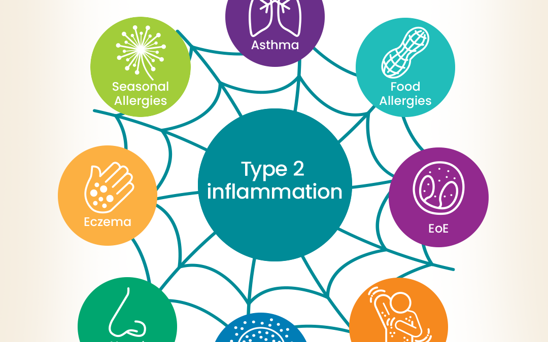 One Fire, Many Flames: The Immune Response Fueling Allergic and Inflammatory Diseases